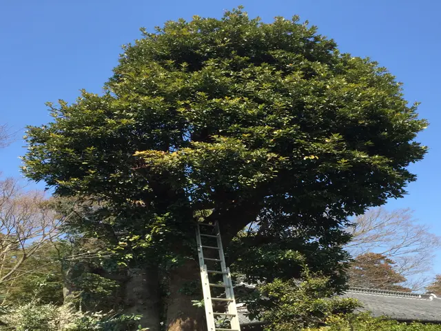 【業歴35年の経験と実績】迅速丁寧に対応します！ご要望お聞かせください！サービスの画像