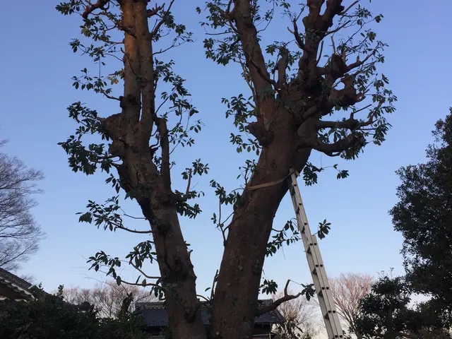 【業歴35年の経験と実績】迅速丁寧に対応します！ご要望お聞かせください！サービスの画像