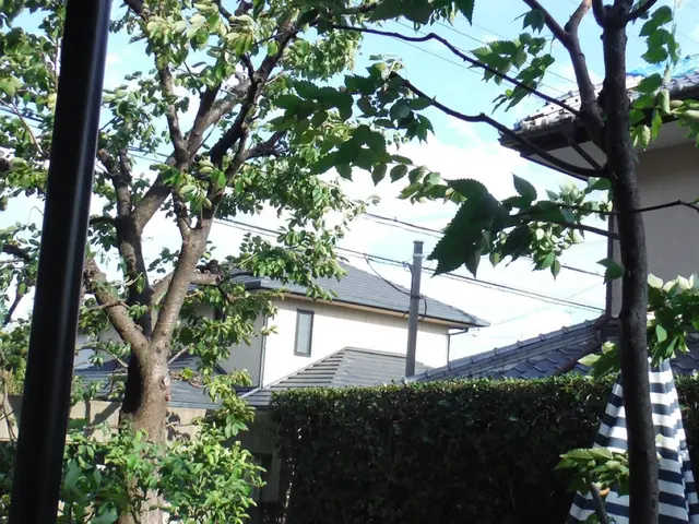 お庭に植えてある木の剪定です。木の種類に応じた剪定をさせて頂きます。サービスの画像