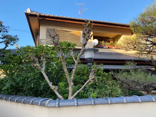 お庭に植えてある木の剪定です。木の種類に応じた剪定をさせて頂きます。サービスの画像