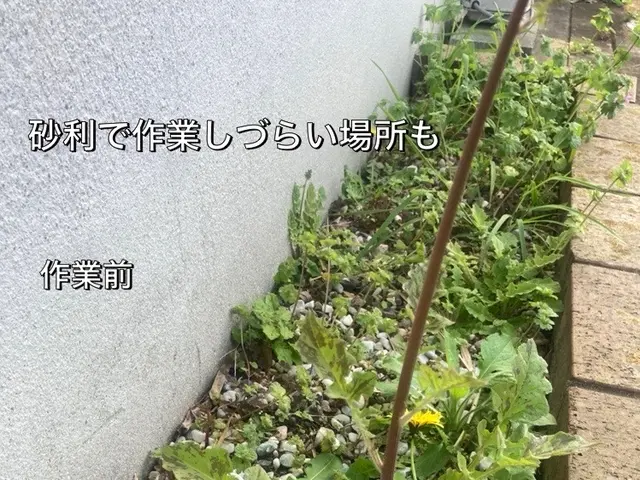 草むしりは　おまかせください！細かい所まで手作業で綺麗にいたします。サービスの画像