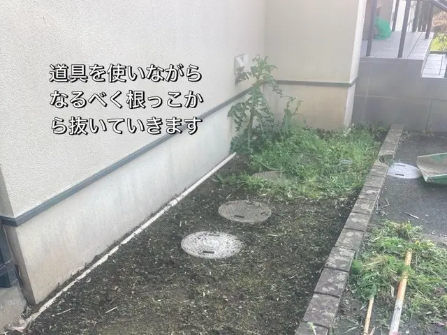 草むしりは　おまかせください！細かい所まで手作業で綺麗にいたします。サービスの画像