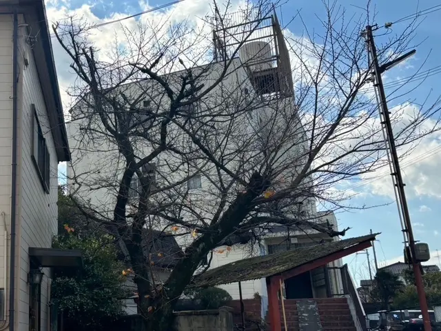 ◆お庭の伐採、お庭がスッキリ気分最高！庭木1本～でも大丈夫です！サービスの画像