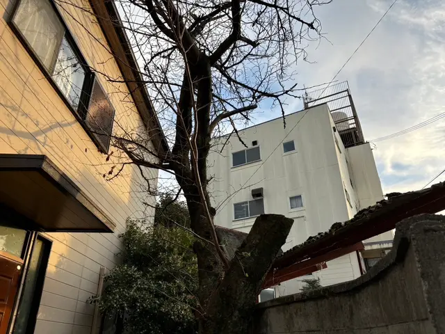 ◆お庭の伐採、お庭がスッキリ気分最高！庭木1本～でも大丈夫です！サービスの画像