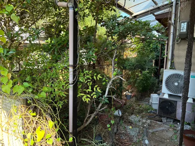 ◆お庭の伐採、お庭がスッキリ気分最高！庭木1本～でも大丈夫です！サービスの画像