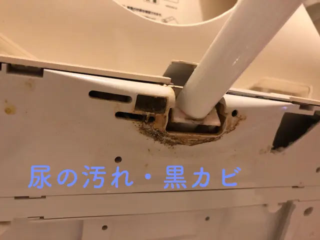 【ハウスクリーニング士】の代表が必ず伺います◆天然エコ洗剤使用するので安心◎サービスの画像