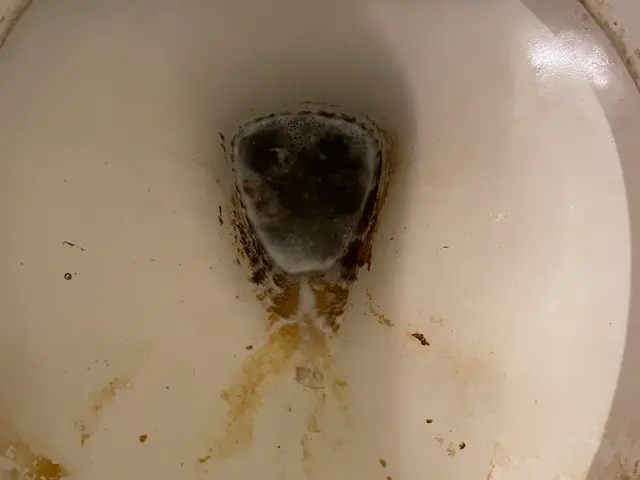 【ハウスクリーニング士】の代表が必ず伺います◆天然エコ洗剤使用するので安心◎サービスの画像