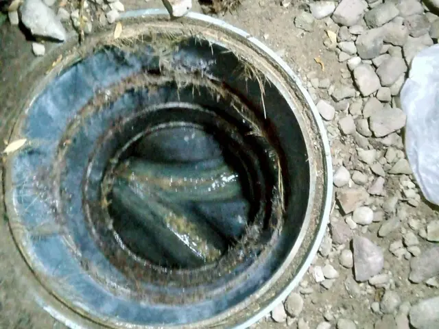 お客様のお力になります！経験と知識を活かして迅速丁寧に作業いたしますサービスの画像