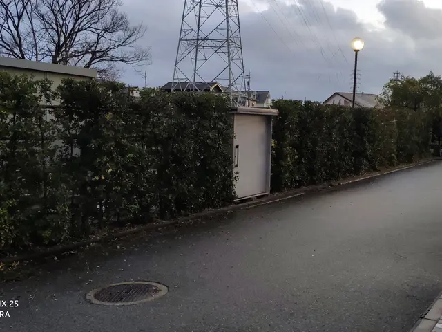 経験年数33年一級造園技能士の技術と知識で風通し良く綺麗に仕上げますサービスの画像