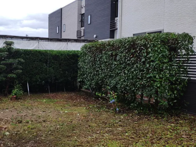 経験年数33年一級造園技能士の技術と知識で風通し良く綺麗に仕上げますサービスの画像