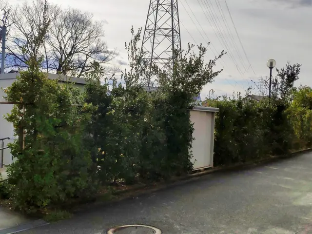 経験年数33年一級造園技能士の技術と知識で風通し良く綺麗に仕上げますサービスの画像