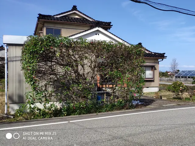 経験年数33年一級造園技能士の技術と知識で風通し良く綺麗に仕上げますサービスの画像