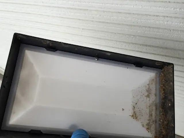 【受付中】くもの巣駆除ならお任せ下さい。安心駆除で行います！サービスの画像