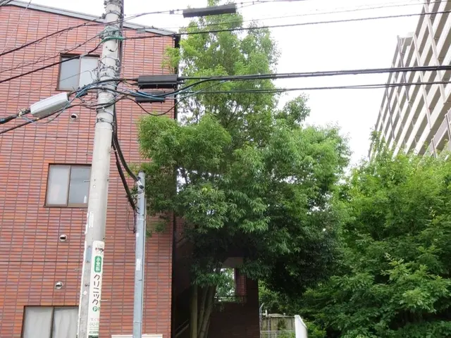 一級造園技能士◎損害賠償保険に加入済み◎作業実績15年◎サービスの画像