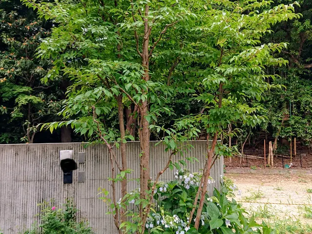 一級造園技能士◎損害賠償保険に加入済み◎作業実績15年◎サービスの画像