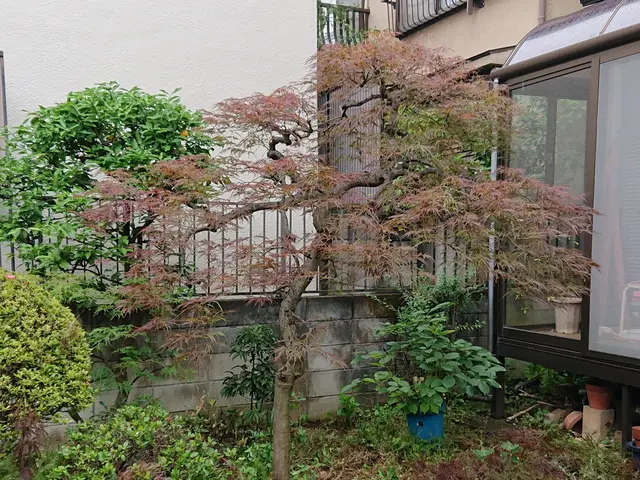 一級造園技能士◎損害賠償保険に加入済み◎作業実績15年◎サービスの画像