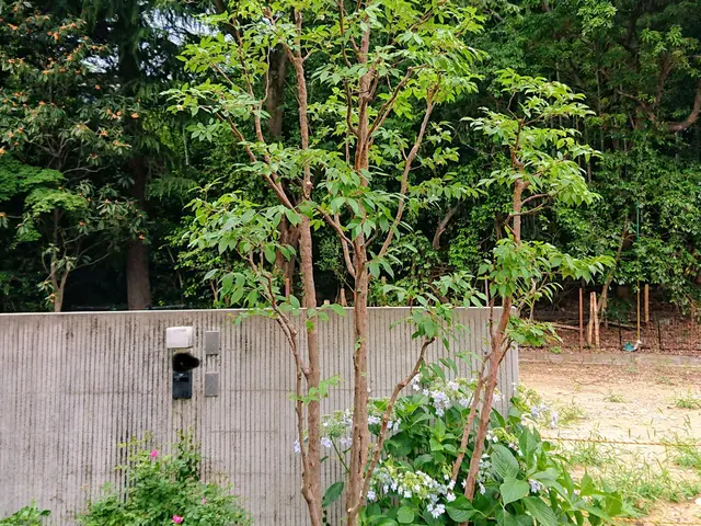 一級造園技能士◎損害賠償保険に加入済み◎作業実績15年◎サービスの画像