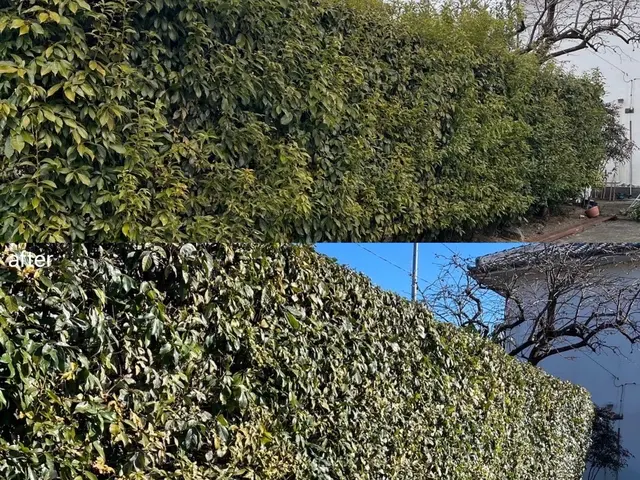 【業歴15年以上の経験実績】損害保険加入済み◎営業時間外・対応地域外も対応可能！サービスの画像