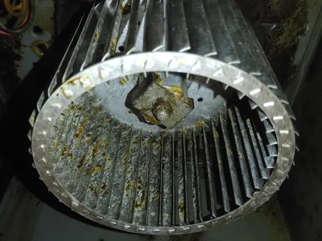 レンジフード換気扇クリーニングサービスの画像