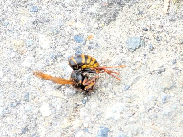 豊富な経験と知識で安心！何でも当店へお任せください！サービスの画像