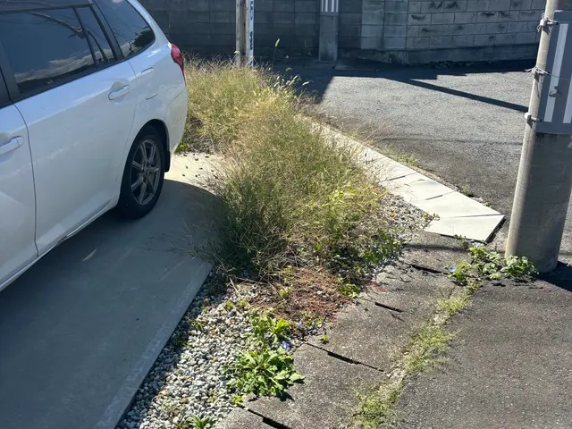 仙台市委託実績の信頼！女性スタッフ指定可能で安心対応サービスの画像