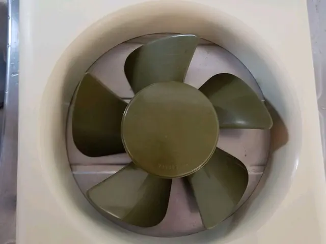 ☆油汚れは夏がオススメ☆キャンペーン中にて早い者勝ち☆プロの技をぜひサービスの画像