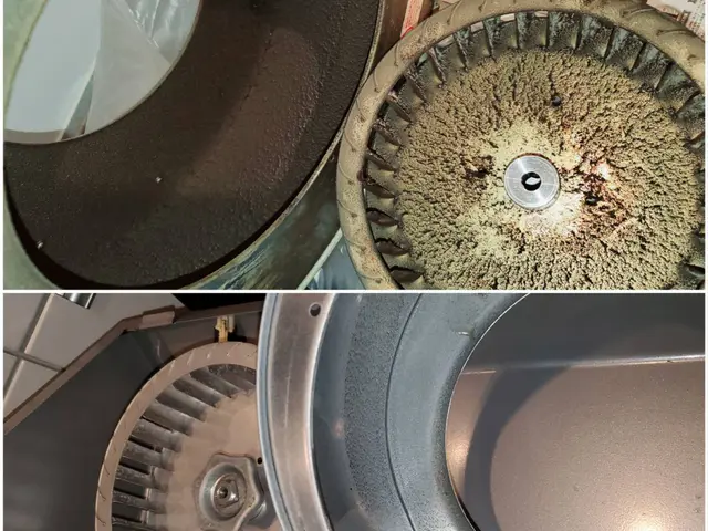 ★今年のご予約終了★受注件数の8割がリピート様！誠にありがとうございます。サービスの画像