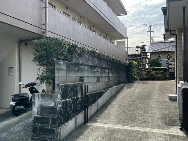 「植え込み・生垣剪定｜回収費込み」サービスの画像