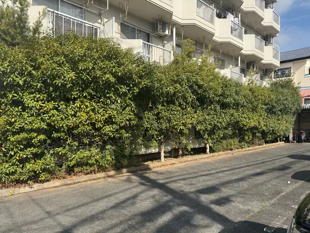 「植え込み・生垣剪定｜回収費込み」サービスの画像