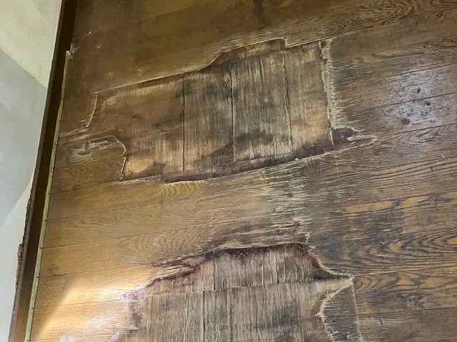 【9月出店】作業実績1000件超！法人勤務経験あり！オープン価格とさせて頂きますサービスの画像