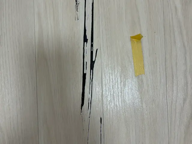 【引越しの際の現状回復にお使い下さい！】作業実績1000件超◇法人からの依頼ありサービスの画像