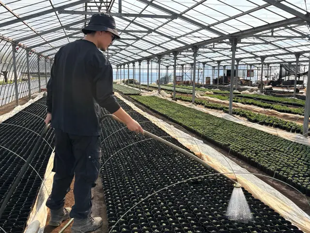 【水やりのプロ！】植物生産者が、植物の状態を見極めながら水やりを実施します。サービスの画像