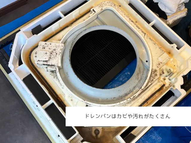 早朝、夜間も対応いたします。大手清掃会社出身◎店舗、事務所実績多数◎サービスの画像