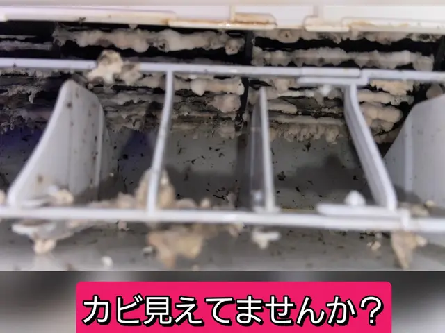 エアコンのお掃除は秋がベスト！ドレンホース洗浄をもれなくお付けします！サービスの画像