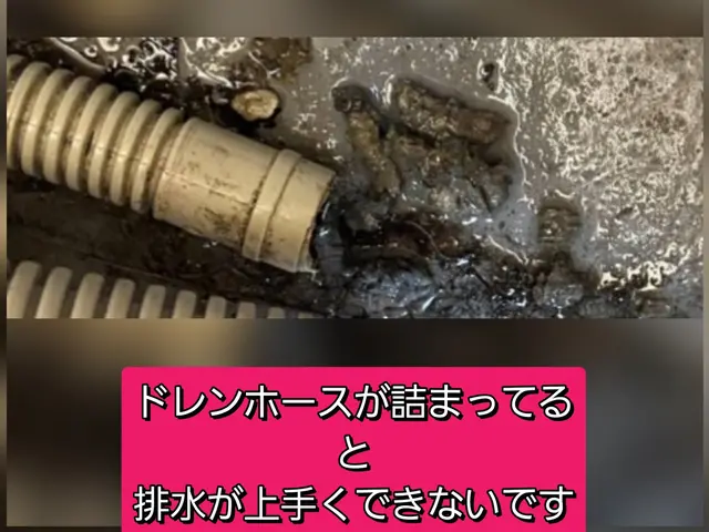 エアコンのお掃除は秋がベスト！ドレンホース洗浄をもれなくお付けします！サービスの画像