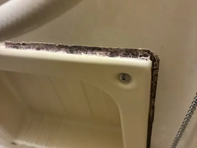 コーキング打替えいたします！サービスの画像