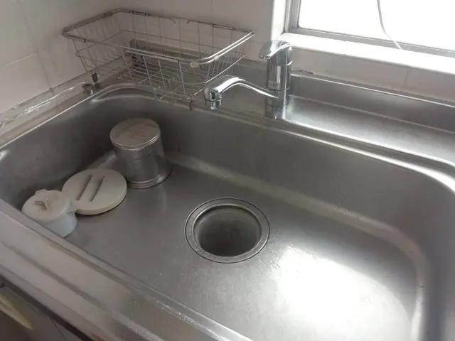 【この機会に害虫対策無料!!】害虫駆除と清掃のプロが手掛ける水回りクリーニング！サービスの画像