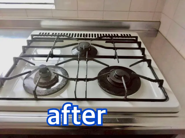 【この機会に害虫対策無料!!】害虫駆除と清掃のプロが手掛ける水回りクリーニング！サービスの画像