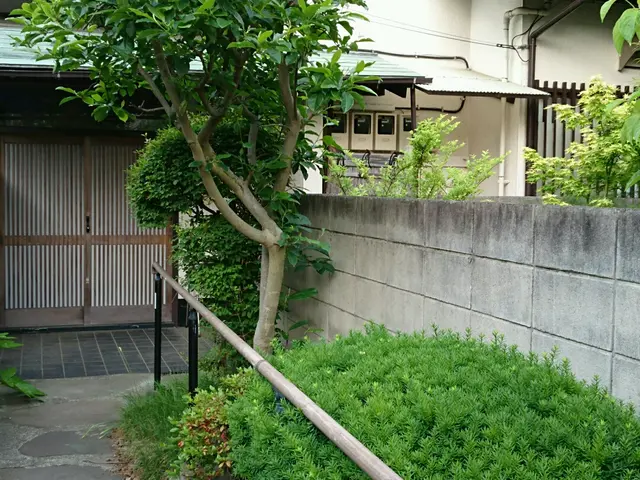 剪定作業はお任せ下さい！お気軽にご相談を！サービスの画像