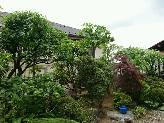 剪定作業はお任せ下さい！お気軽にご相談を！サービスの画像