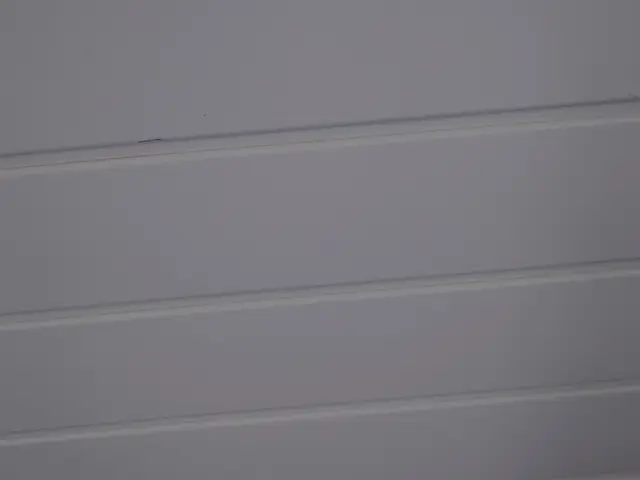 夏本番！しつこいカビを撃退☆サービスの画像