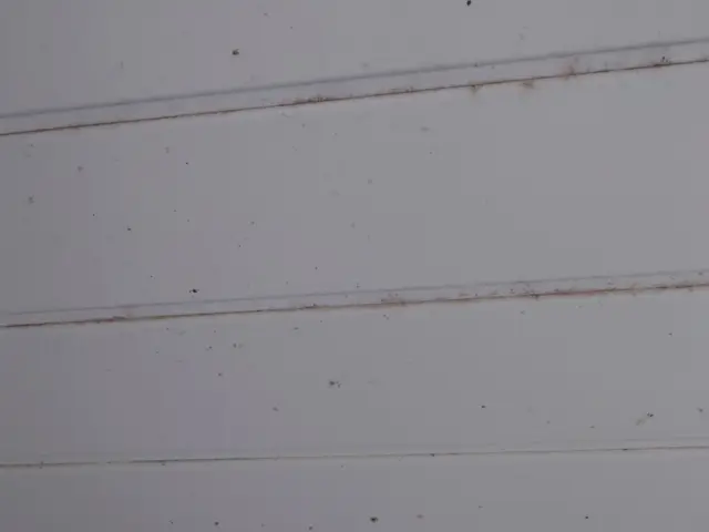 夏本番！しつこいカビを撃退☆サービスの画像