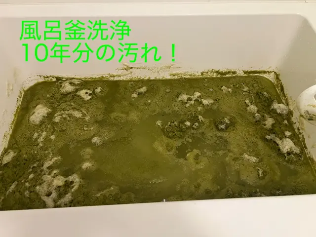 法人、個人様♢空室クリーニング、水回り(単品、セットメニュー)予約受付中！サービスの画像