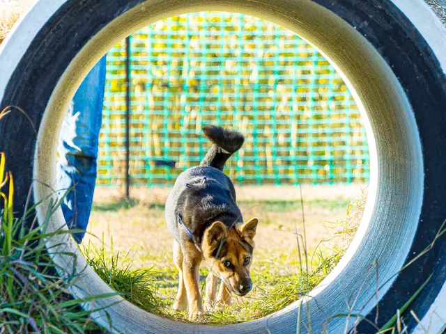 お客様ファーストで心に残る思い出づくり！