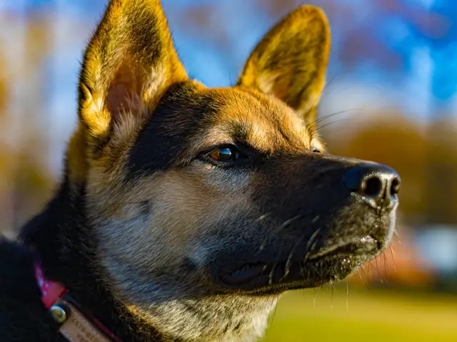 お客様ファーストで心に残る思い出づくり！