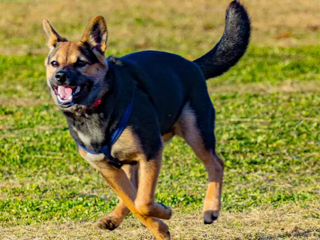 お客様ファーストで心に残る思い出づくり！