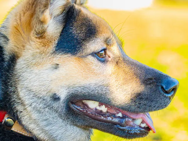 お客様ファーストで心に残る思い出づくり！