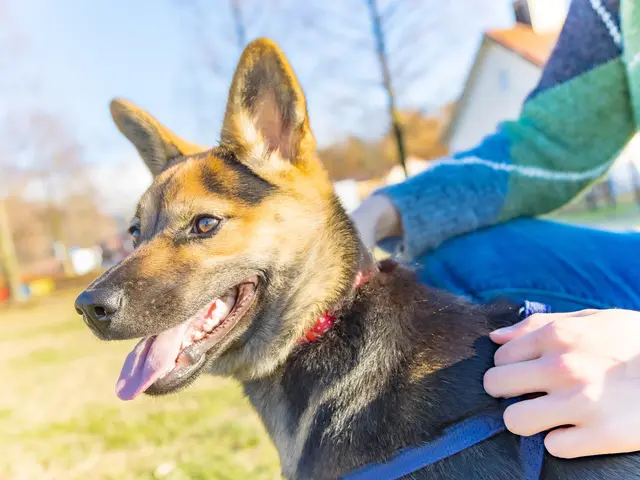 お客様ファーストで心に残る思い出づくり！
