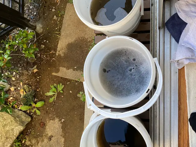 消臭・抗菌コート無料サービス致します☆５児のパパがお伺いします【損害保険加入】サービスの画像