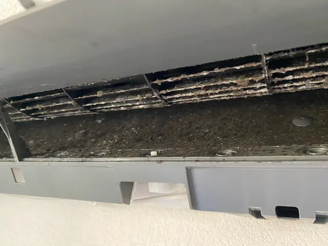 消臭・抗菌コート無料サービス致します☆５児のパパがお伺いします【損害保険加入】サービスの画像